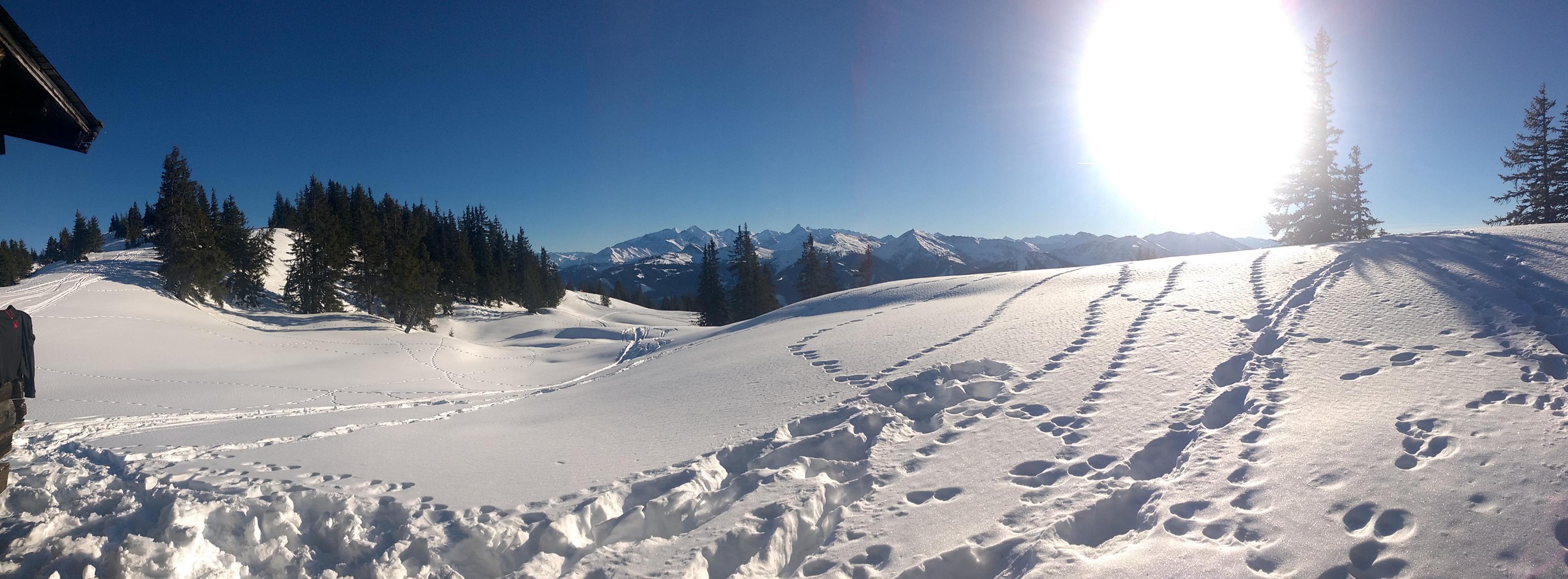 Ferienwohnung Saalbach